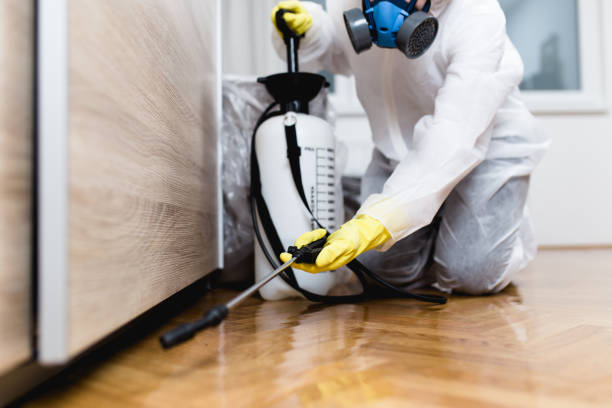 Reliable Wallace, ID Pest Control Solutions