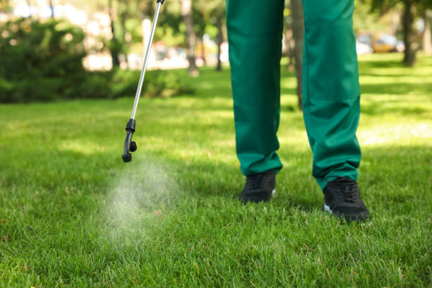 Best Pest Prevention Services  in Wallace, ID