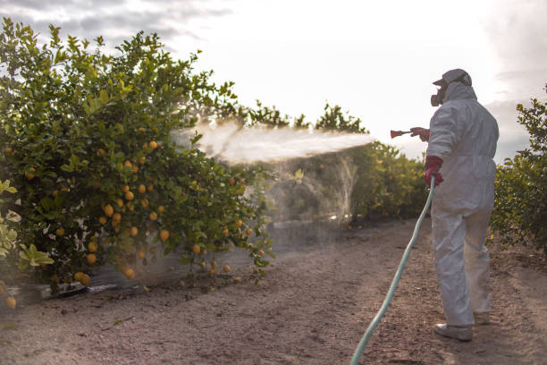 Best Pest Control Cost  in Wallace, ID